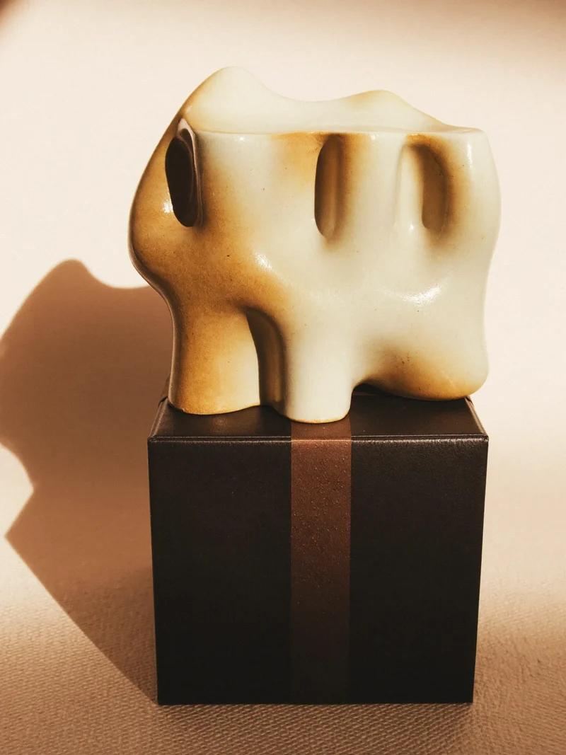 Illustration conceptuelle : écrin de céramique sculptée